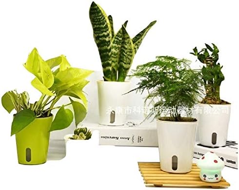 Self Watering Garden Plastic Pot Pack of 3 (Small)