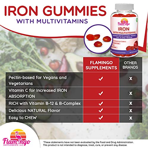 Iron Gummies Plus Multivitamin with Iron Vitamin C, Zinc, B Complex