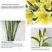 RERXN Artificial Tiger Lily Latex Real Touch Flower Home Wedding Party Decor,Pack of 5 (Yellow)