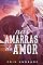 Livro Nas Amarras do Amor