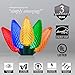 Wintergreen Lighting C9 Multicolor Christmas Lights Set of 25, 17 Ft, Christmas Lights Outdoor C9 LED Christmas Lights Multicolor C9 Christmas Lights Party Multicolor LED Christmas Lights