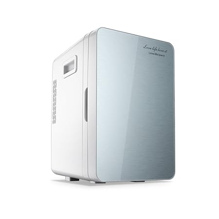 YQQ-Car frigorífico 20 L pequeño refrigerador portátil calefacción ...