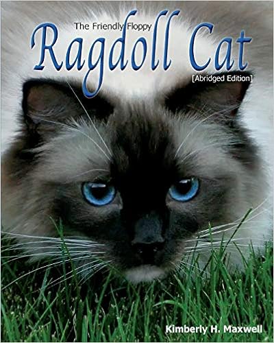 The Friendly Floppy Ragdoll Cat