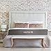 Nectar Calking Mattress + 2 Free Pillows - Gel Memory Foam - CertiPUR-US Certified - 180 Night Home Trial - Forever Warranty