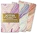 Jotter Mini Notebooks for Bullet Journaling -- Agate (3-Pack) (Interior Dot-Grid Pattern)