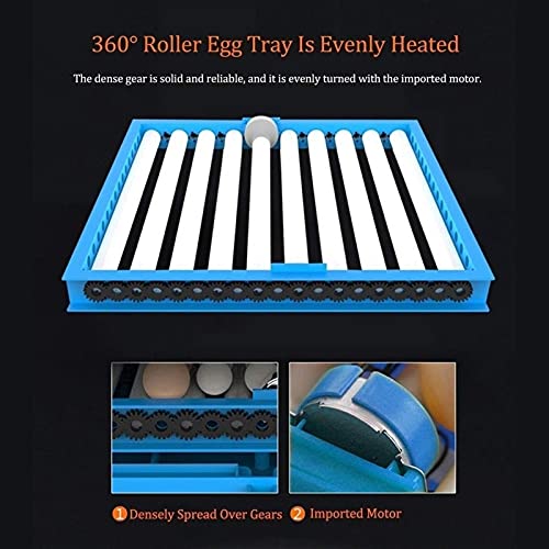 CHICTI Brutmaschine Vollautomatisch Eier-Inkubator 256 Eier Digital Mit Beleuchtung Temperaturregulierung Und… – Bild 6