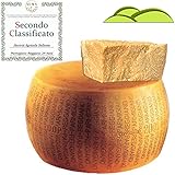 Whole wheel Parmigiano Reggiano PDO, made in mountain, weight 86 lbs, aged 24 months, + professional knife