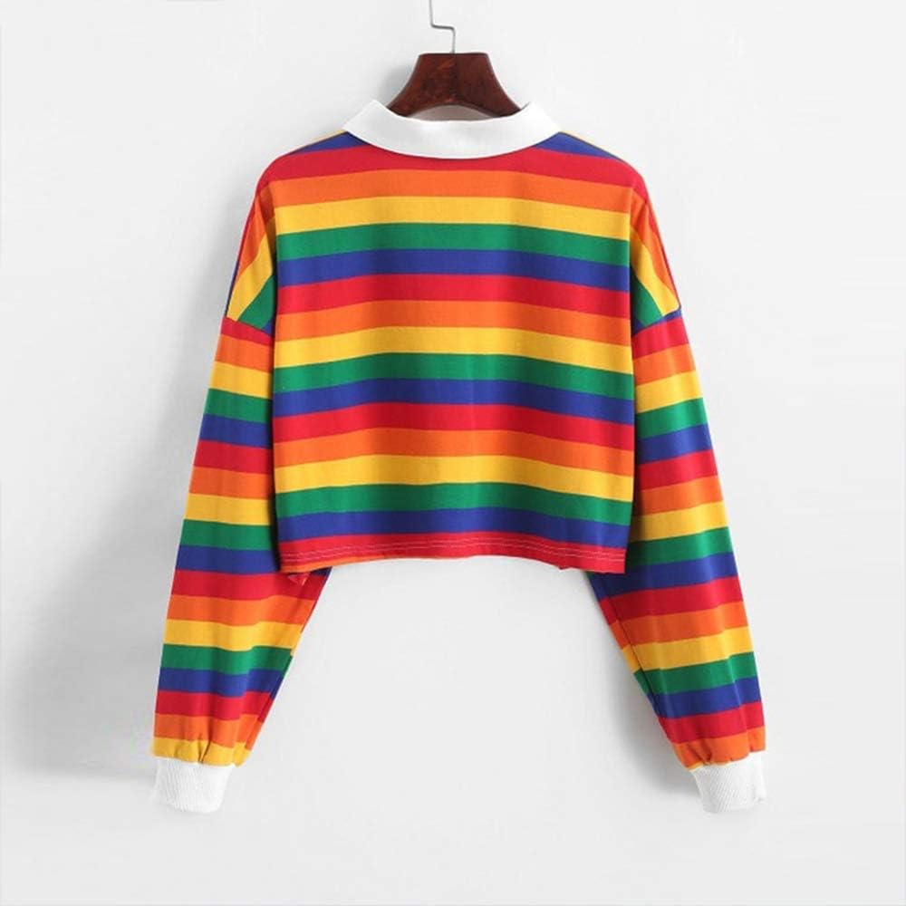 polo rainbow sweatshirt