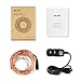 Albrillo Copper String Lights Color Changing 100 LEDs 33ft with Power Adapter, UL Listed