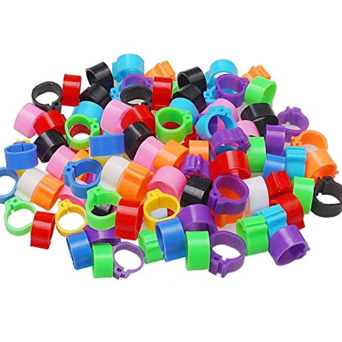 Vogelringe Taubenringe Wachtelringe Hühnerringe 200 Stück Kunststoff Identifizierung Ring Geflügel Band Klemmringe zum Markierung für Vogel Papagei Taube Wachtel Küken 8 mm Gemischte Farben