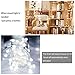WERTIOO Battery Operated String Lights 33ft 100 LEDs Globe Christmas Lights with Remote Control for Outdoor/Indoor Bedroom,Garden,Christmas Tree[8 Modes,Timer ] (White)
