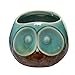 3“ Turquoise & Brown Small Owl Design Ceramic Succulent Planter / Flower Bud Pot / Mini Decorative Vase