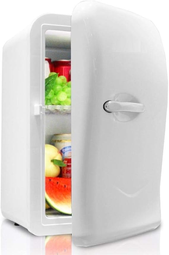 Mini Refrigerador Nevera De Mesa 17L Car Refrigerator Car Home Dual Purpose Heating And Heating