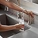 InSinkErator Contemporary Instant Hot and Cold Water Dispenser - Faucet Only, Matte Black, F-HC1100MBLK