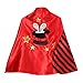 StoryBook Wishes Reversible Red and Black Striped Magician Cape with Top Hat Embroidery