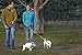 Mendota Pet Slip Leash - Dog Lead and Collar Combo - Made in The USA - Orange, 1/2 in x 6 ft - for Large Breeds