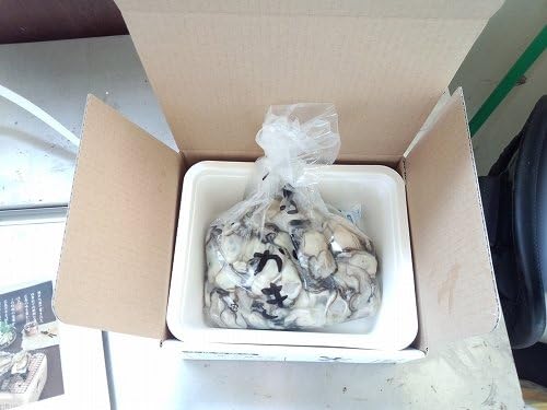 Amazon 広島県玖波産 アミスイ 生牡蠣むき身 1 5kg 宮島近海で獲れた大粒かき 11月上旬よりお届けします アミスイ 貝類 通販