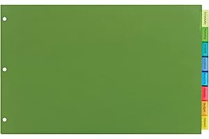 Big Tab(TM) 11" x 17" Plastic Insertable Dividers