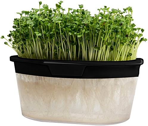 VitaHero Sprouting and Microgreens Growing Kit for Your hydroponic Gardening and Organic Seeds (Black)