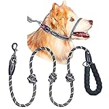 Bingo's No Pull Dog Training Combo for Medium Dogs