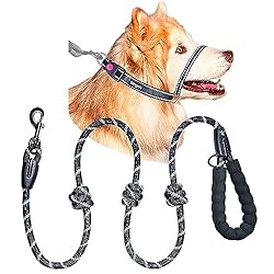 Bingo's No Pull Dog Training Combo for Medium Dogs