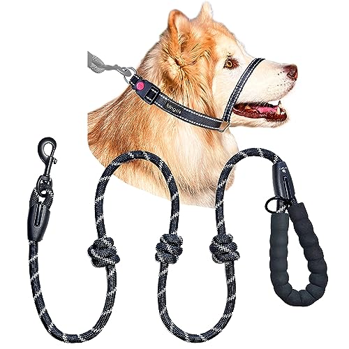 Bingo's No Pull Dog Training Combo for Medium Dogs