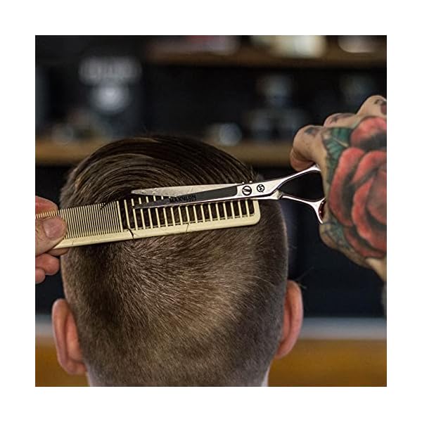 Maxylon-Hairdressing-Scissors-for-Professional-Hairdressers-6-inch-Stainless-Steel-Hair-Cutting-Shears-for-Salon-Barbers-Men-Women Maxylon Hairdressing Scissors for Professional Hairdressers 6 inch Stainless Steel Hair Cutting Shears for Salon Barbers…