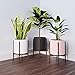 Mid Century Plant Stand with Pot with Drainage – Matte Blush Ceramic Planter with Wood Plant Stand Made of Walnut – 10 inch Planter – Perfect Pot for Plants Indoor – Planter with Stand NOT Adjustablethumb 2