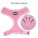 BINGPET Small Dog Harness and Leash - Soft Puppy Vest for Cat, Pink XS
