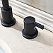 PARLOS Two-Handle Widespread Bathroom Faucet with Pop-up Drain Assembly and cUPC Faucet Supply Lines, Matte Black, 14136