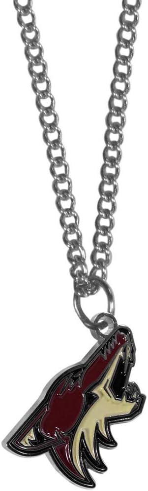 NHL Siskiyou Sports Fan Shop Arizona Coyotes Chain Necklace with Small Charm 22 inch Team Color : Sports & Outdoors
