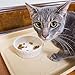 Easyology Premium Pet Food Tray - Dog Food Mat and Cat Food Mat with Non Skid Design - Best Pet Bowl Mat for Containing Spills, 17.5'' x 14’'