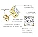 Thunaraz 316L Surgical Steel Stud Earrings Princess Cut Square Cubic Zirconia Earrings Set 6 Pairs 3mm-8mm (Golden Tone)