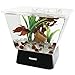 Tetra LED Betta Tank Kit 1 Gallon, Trapezoid aquarium With Base Lighting (24050)