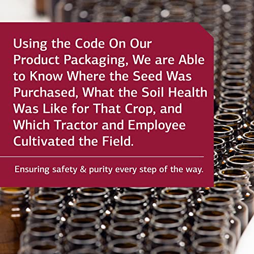 Standard Process AC Carbamide GlutenFree Kidney Support Supplement