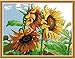 Printed Cross Stitch Kits 11CT 24X19 inch 100% Cotton Holiday Gift DIY Embroidery Starter Kits Easy Patterns Embroidery for Girls Crafts DMC Stamped Cross-Stitch Supplies Needlework Sunflower