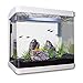 Imagitarium Freshwater Cube Aquarium Kit, 5.2 GALthumb 1