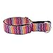 EXPAWLORER Martingale Collars for Dogs, Heavy Duty Nylon Dog Collar Large
