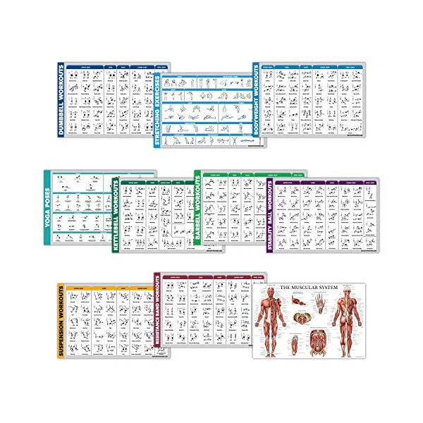 10 Pack - Exercise Workout Poster Set - Dumbbell, Suspension, Kettlebell, Resistance Bands, Stretching, Bodyweight, Barbell, Yoga Poses, Exercise Ball, Muscular System Chart (LAMINATED,18" x 24") - Image 5