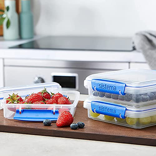 Sistema 3Piece Sandwich Containers for Lunch Boxes and Meal Prep