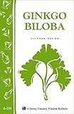Ginkgo Biloba: Storey Country Wisdom Bulletin, A-231 by Stephan Brown
