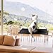 isYoung Cat Window Perch, Mounted Cat Sunshine seat Pet Hammock Kitty Bed Perch Cushion with 4 Ultra Heavy Duty Suction Cups Cat Bed Holds Up to 60lbs