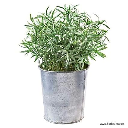 Kleine Kunstpflanze/Dekopflanze im Zink Topf - Tolle Auswahl