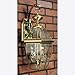 Quoizel Newbury Outdoor Wall Lantern, 20 Inch 2-Light Polished Brass Wall Sconce, French Country Exterior Wall Lantern Fixture, E12 Base, Clear Glass, Outside Lights for Patio, Porch, Garage or Yard