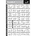 NewMe Fitness Dumbbell Workout Exercise Poster - NOW LAMINATED - Strength Training Chart - Build Muscle, Tone & Tighten - Home Gym Weight Lifting Routine - Body Building Guide w/Free Weights