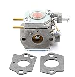 AUTOKAY Carburetor Carb 753-06190 for MTD Cub Cadet Troybilt Yard Walbro WT-973 WT-1116