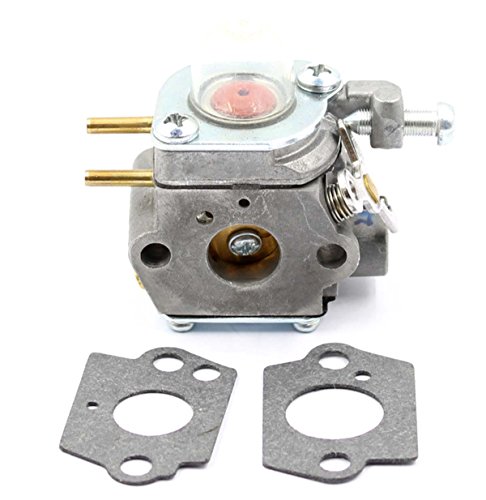 AUTOKAY Carburetor Carb 753-06190 for MTD Cub Cadet Troybilt Yard Walbro WT-973 WT-1116