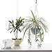MyGift Hanging Planter Self-Watering Indoor Pots with Drainage Hole, 3 Pack Hanging Plant Container with Metal Chain (Blue/Yellow/White)