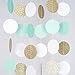 Chloe Elizabeth Circle Dots Paper Party Garland Streamer Backdrop (10 Feet Long) - Mint, White, Gold Glitter