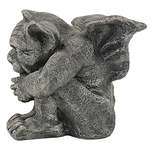 https://images-na.ssl-images-amazon.com/images/I/51oPMEpjkSL.jpg